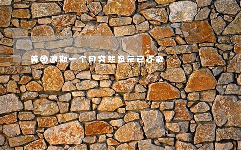 美团逾期一个月突然显示已还款 美团逾期一个月突然显示已还款
