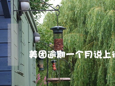美团逾期一个月说上征信 美团逾期一个月说上征信