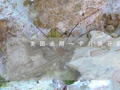美团逾期一个月说开庭 美团逾期一个月说开庭