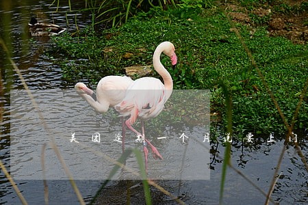 美团逾期一个月说要上门 美团逾期一个月说要上门