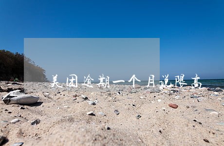 美团逾期一个月说限高 美团逾期一个月说限高