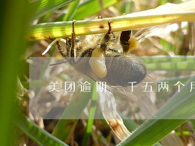 美团逾期一千五两个月说要上门 美团逾期一千五两个月说要上门