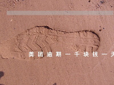 美团逾期一千块钱一天利息多少 美团逾期一千块钱一天利息多少