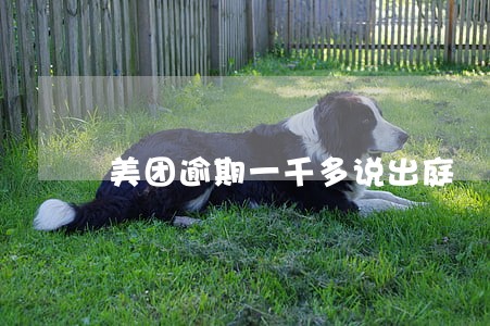 美团逾期一千多说出庭 美团逾期一千多说出庭