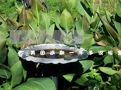 美团逾期一千多说报案了是真的吗 美团逾期一千多说报案了是真的吗