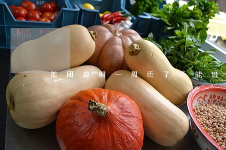 美团逾期一周还了还能借出来吗