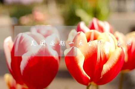 美团逾期一天会影响备用金吗 美团逾期一天会影响备用金吗