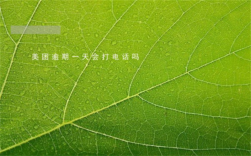 美团逾期一天会打电话吗 美团逾期一天会打电话吗
