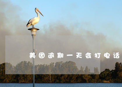 美团逾期一天会打电话来吗 美团逾期一天会打电话来吗