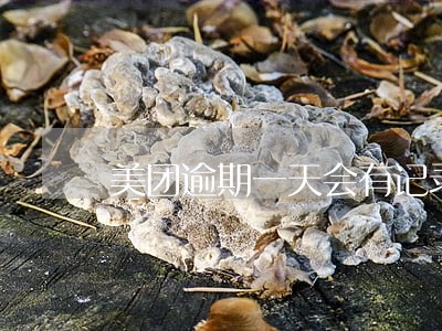 美团逾期一天会有记录吗 美团逾期一天会有记录吗