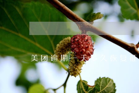 美团逾期一天多久恢复征信 美团逾期一天多久恢复征信