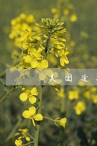 美团逾期一天就上征信嘛 美团逾期一天就上征信嘛