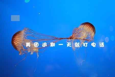 美团逾期一天就打电话 美团逾期一天就打电话