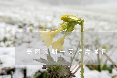 美团逾期一天就爆通讯 美团逾期一天就爆通讯