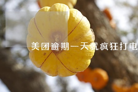美团逾期一天就疯狂打电话催 美团逾期一天就疯狂打电话催