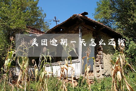 美团逾期一天怎么还钱 美团逾期一天怎么还钱