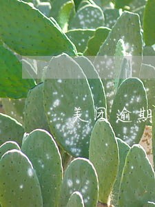 美团逾期一天收多少钱