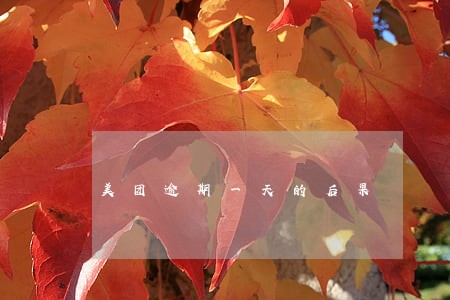 美团逾期一天的后果 美团逾期一天的后果