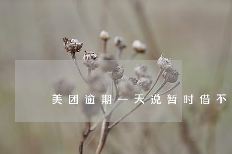 美团逾期一天说暂时借不了款 美团逾期一天说暂时借不了款