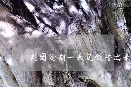美团逾期一天还能借出来钱吗 美团逾期一天还能借出来钱吗