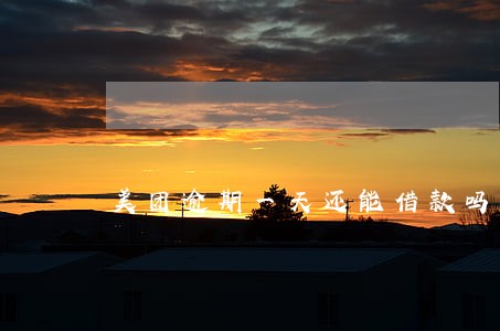 美团逾期一天还能借款吗 美团逾期一天还能借款吗