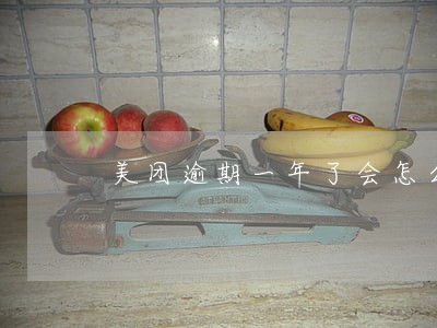 美团逾期一年了会怎么样 美团逾期一年了会怎么样
