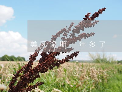 美团逾期一年多了 美团逾期一年多了