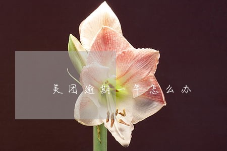 美团逾期一年怎么办 美团逾期一年怎么办