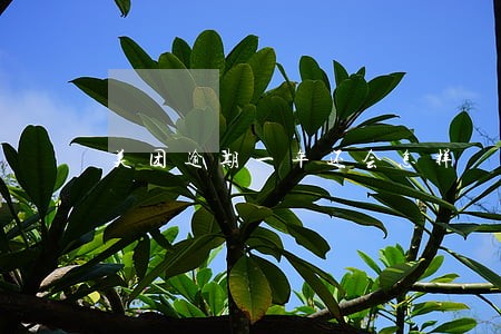 美团逾期一年还会怎样