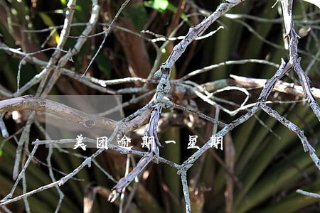 美团逾期一星期 美团逾期一星期
