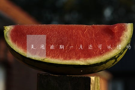 美团逾期一月还可以借吗 美团逾期一月还可以借吗