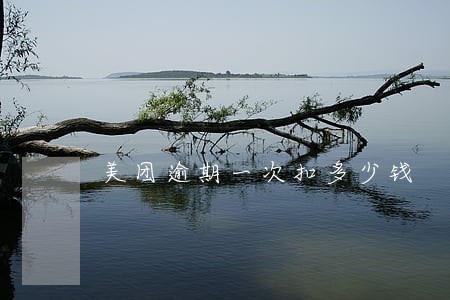 美团逾期一次扣多少钱 美团逾期一次扣多少钱