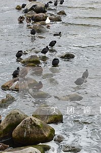 美团逾期一次还清 美团逾期一次还清