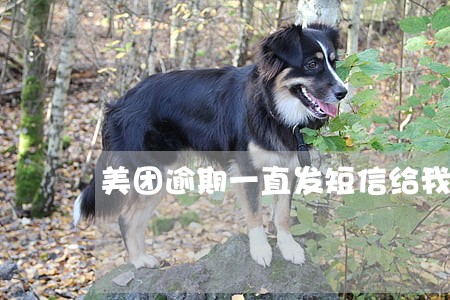 美团逾期一直发短信给我 美团逾期一直发短信给我