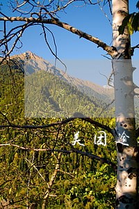 美团逾期一直邮寄资料