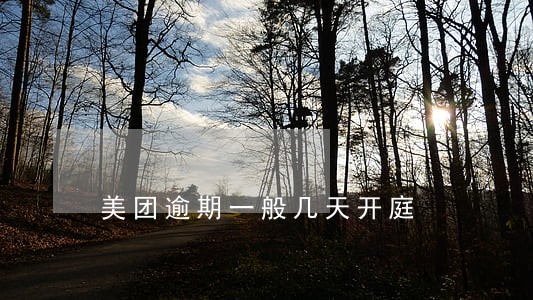美团逾期一般几天开庭 美团逾期一般几天开庭