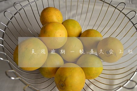 美团逾期一般多久会上征信