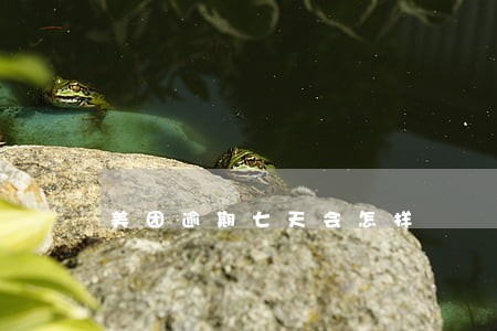 美团逾期七天会怎样 美团逾期七天会怎样