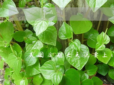 美团逾期七天说要上门是真的吗 美团逾期七天说要上门是真的吗