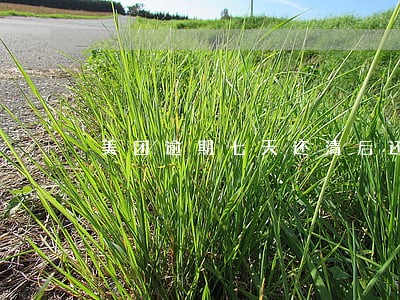 美团逾期七天还清后还能取出来吗 美团逾期七天还清后还能取出来吗