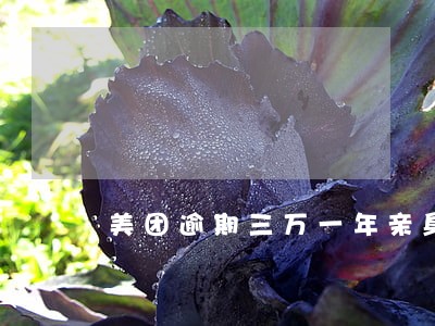美团逾期三万一年亲身经历 美团逾期三万一年亲身经历