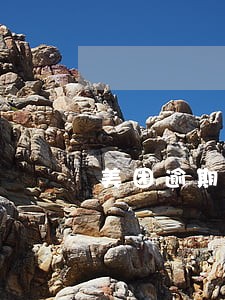 美团逾期三个月上门是真的吗