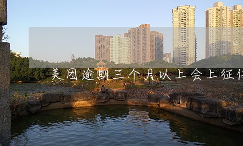 美团逾期三个月以上会上征信吗 美团逾期三个月以上会上征信吗