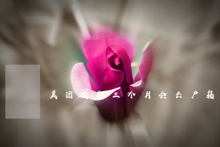 美团逾期三个月会去户籍地调查吗 美团逾期三个月会去户籍地调查吗