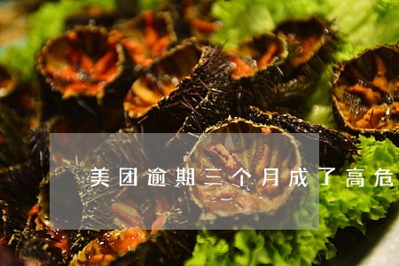 美团逾期三个月成了高危风险账户 美团逾期三个月成了高危风险账户