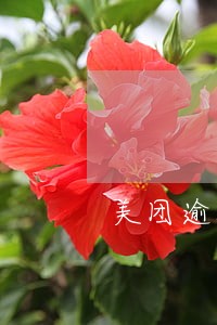 美团逾期三个月才上征信吗 美团逾期三个月才上征信吗
