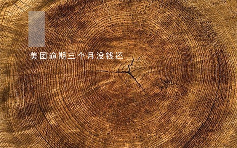 美团逾期三个月没钱还