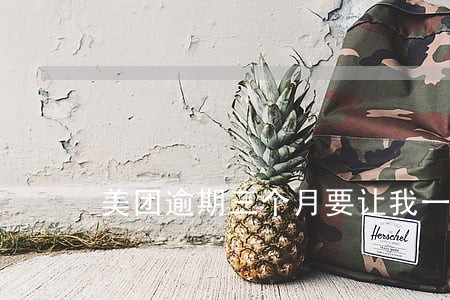 美团逾期三个月要让我一次性还清 美团逾期三个月要让我一次性还清