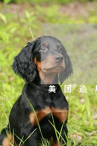 美团逾期三天