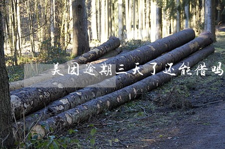 美团逾期三天了还能借吗